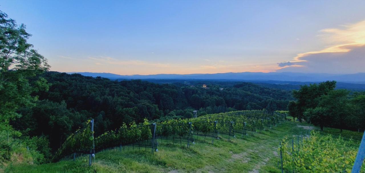 Living & Relax Resorts Sausal エクステリア 写真